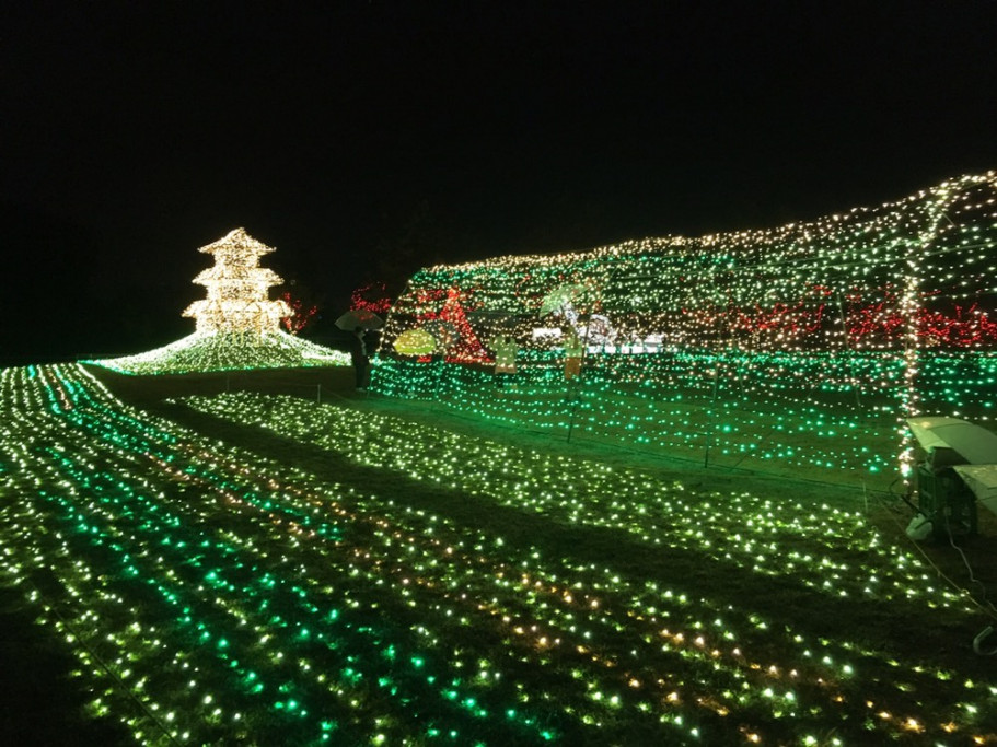 10月公開例会  事業報告